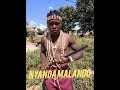 NYANDA MALANDO ICHOLA 