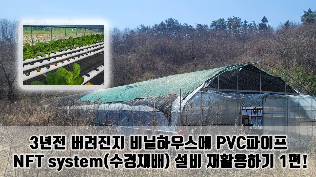 2022 PVC NFT System(수경재배) 를 새로 시작하는 과정을 공개합니다. 자작 PVC수경재배 어렵지 않습니다