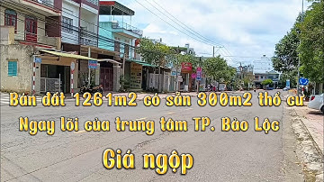 Bán đất 1261m2 có sẵn 300m2 thổ cư|| Ngay phường 1, TP. Bảo Lộc, Lâm Đồng|| Giá ngộp