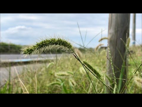 これだけで十分なのに。