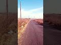Desert Road Walk | A man alone in desert | Too hot desert road | A Man #desertroad #roadcrossing