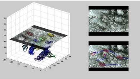 Sequential Monte Carlo for the Dependent Dirichlet Process Object Tracker