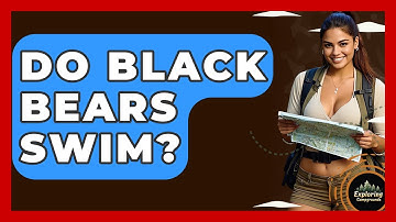Do Black Bears Swim? - Exploring Campgrounds
