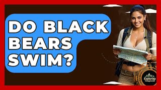 Do Black Bears Swim? - Exploring Campgrounds