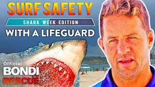 Are there sharks at Bondi? | Surf Safety with Bondi Lifeguards (Shark Week Edition)