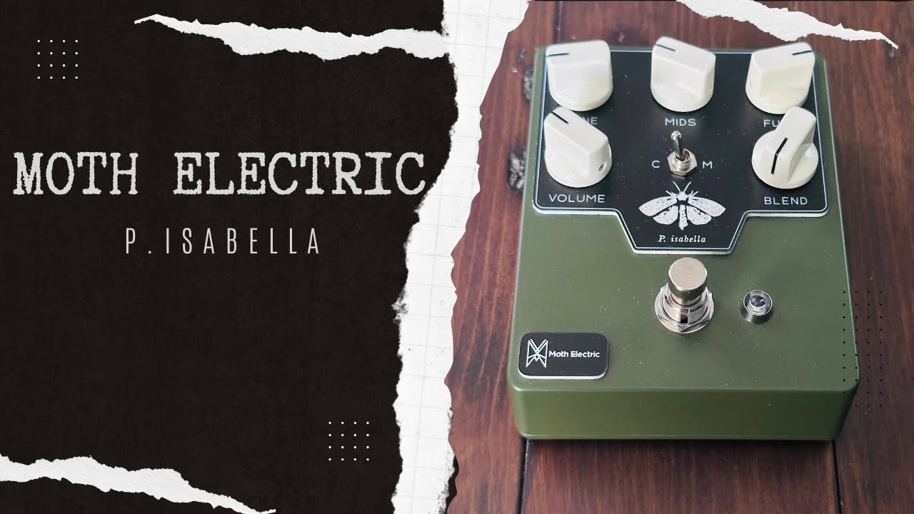 Moth Electric P. Isabella Fuzz Demo - YouTube
