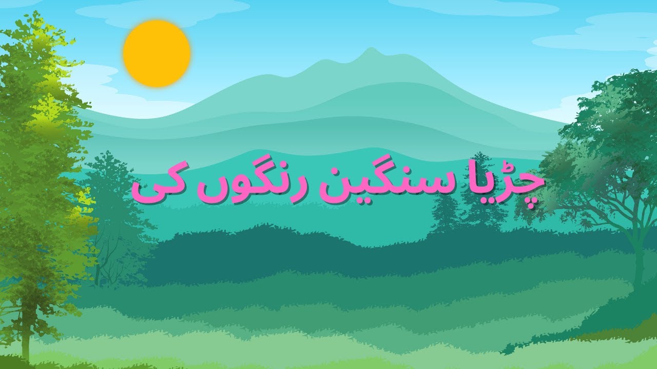 چڑیا سنگین رنگوں کی