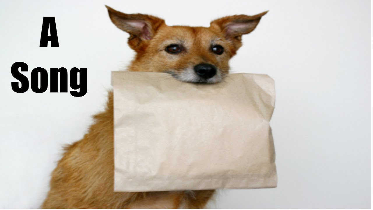 The Doggy Bag Song YouTube