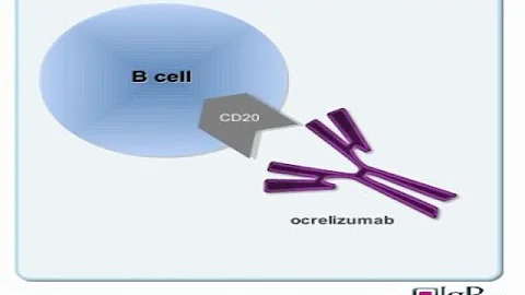 Ocrelizumab in Primary Progressive Multiple Sclerosis (PPMS)