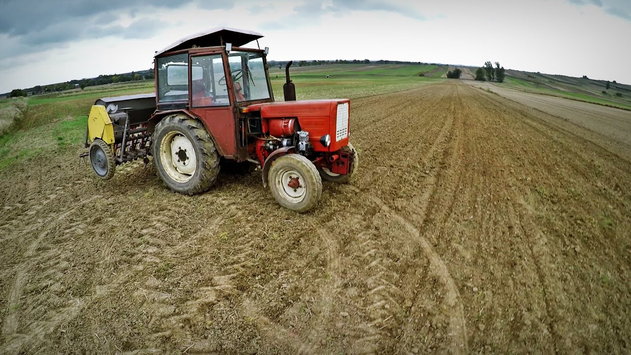 Siew pszenicy ozimej 2021 | Władimirec T-25 & Poznaniak 2.70m