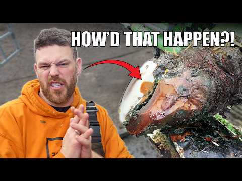 This was MESSIER than expected!!!!!