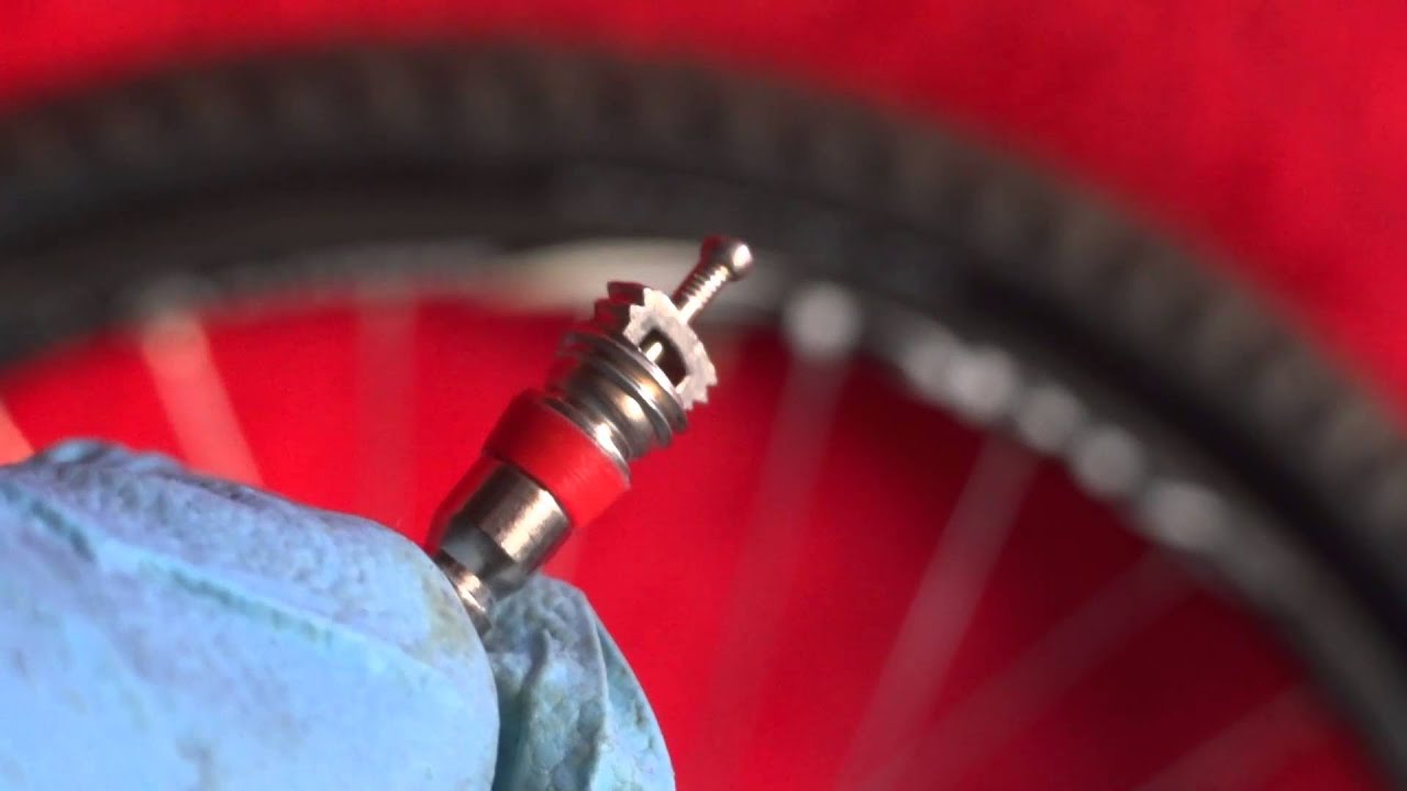 Tires 101: What is a Schrader Valve? And How to Use a Tire Valve