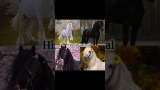 emre bey/orhan bey🔥