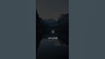 فَتَبَسَّمَ ضَاحِكًا مِن قَوْلِهَا - سورة النمل بصوت القارئ بلال دربالي