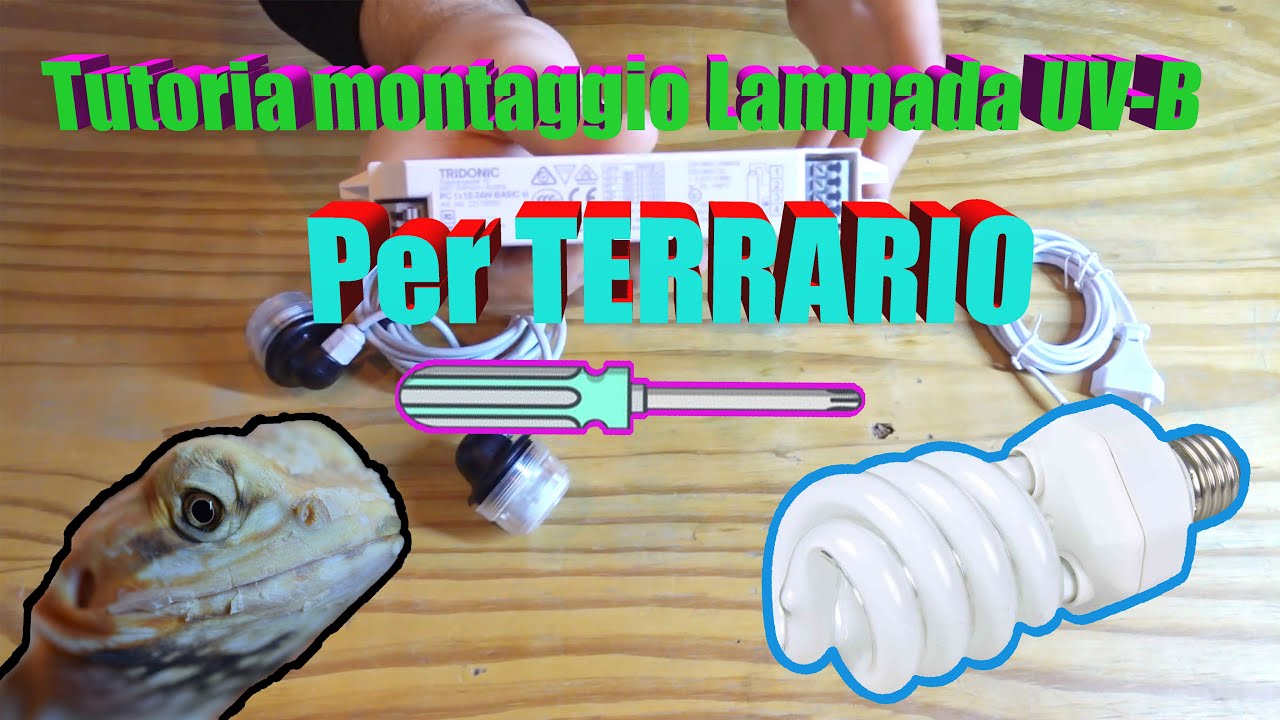 Tutorial montaggio Lampada UV-B per Rettili - tutorial - Bassi Garden