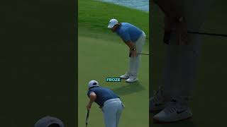 A Fly Made This Golfer a Millionaire 🪰⛳