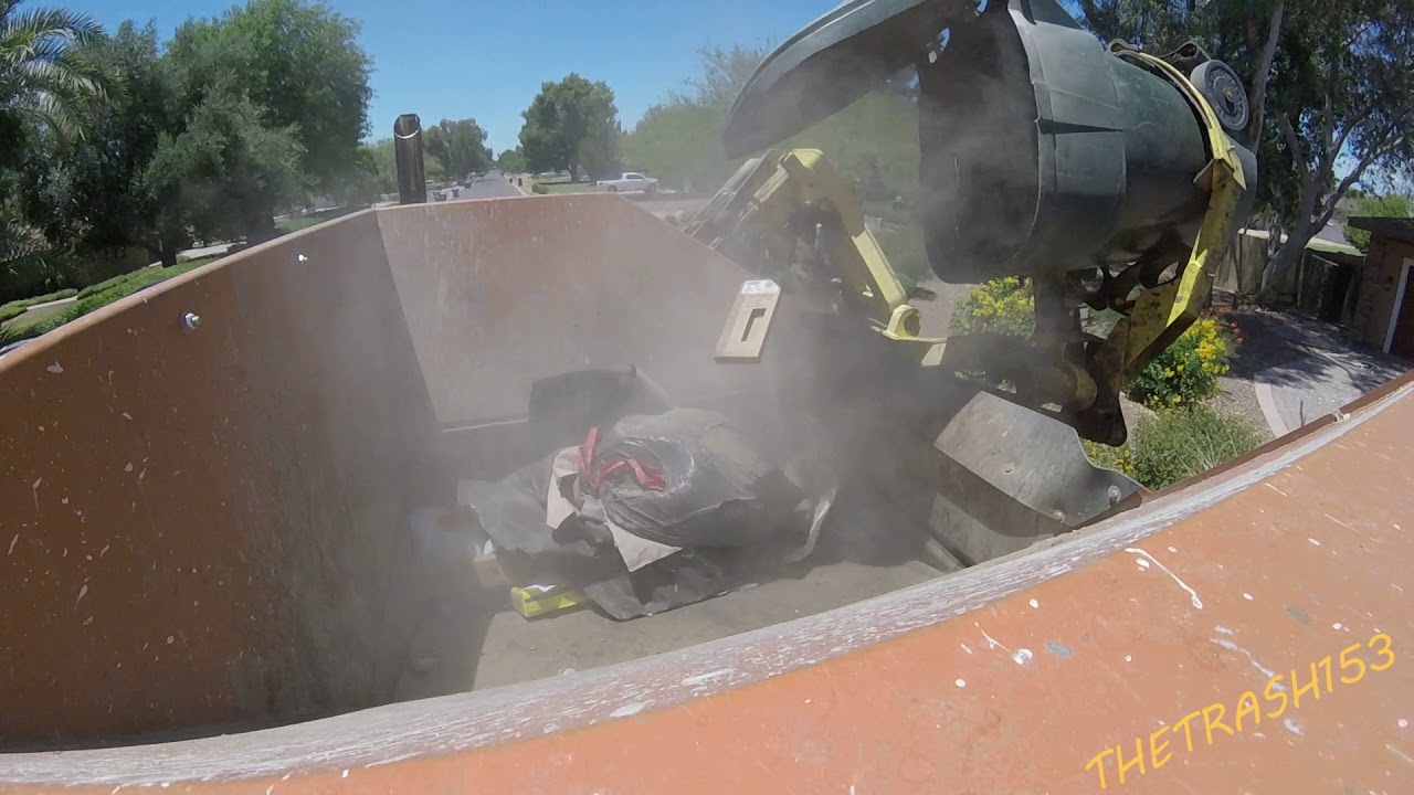 Scorpion on Residential Trash - Hopper View