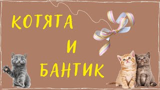 Котята и бантик. Ритмика для детей. Бег с заданием или подпрыгивание.