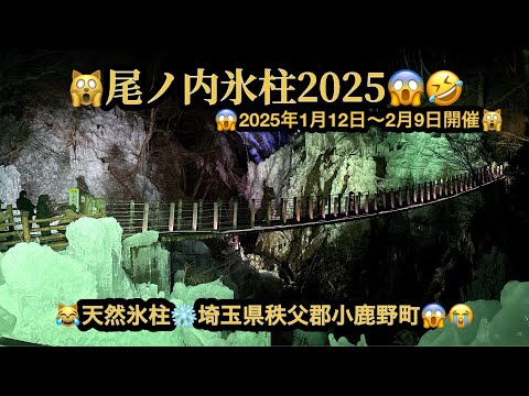 【プレミア】🙀尾ノ内氷柱2025・然氷柱😱2025/1/09～2/9開催😆秩父郡小鹿野町😳ライトアップ😱✨(22m59s）🤣BGM:#riokazumiのピアノ語り