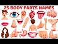 أسماء 25 جزء ا من أجزاء الجسم للأطفال تعلم أجزاء جسم الإنسان باللغة الإنجليزية أجزاء الجسم