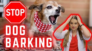 Stop Dog Barking!? | 'Expert Veterinary Medical Help!' by Doctor Lindsay Butzer DVM 416 views 8 days ago 7 minutes, 33 seconds