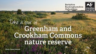 Take a tour of Greenham and Crookham Commons