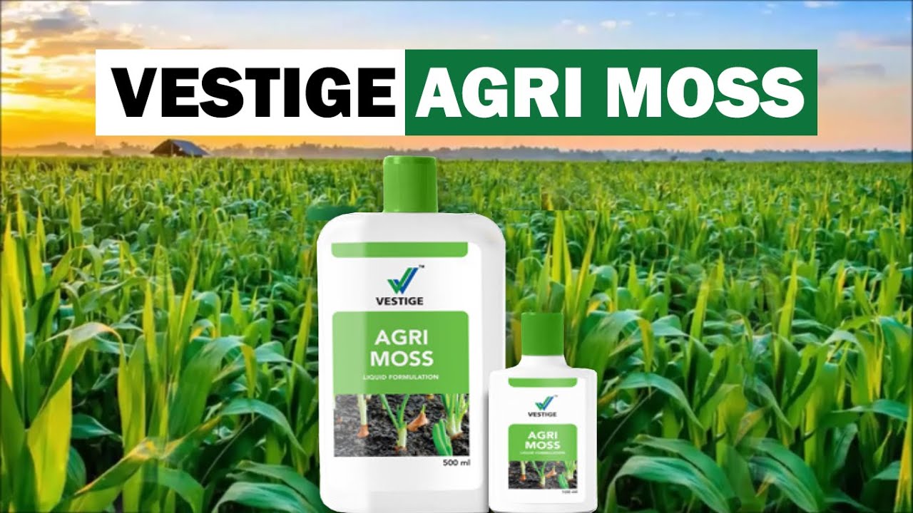 Vestige Agri Moss Information वेस्टीज एग्री मॉस फायदे YouTube