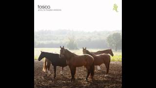 Tosca - Springer (Smith &amp; Mudd Version)