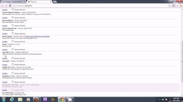 After installing Java 1.7.0_40. Checking Java Plugin in Google Chrome 29 on Windows 7