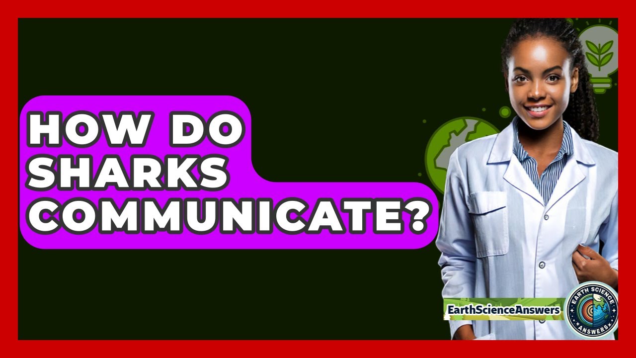 How Do Sharks Communicate? - Earth Science Answers