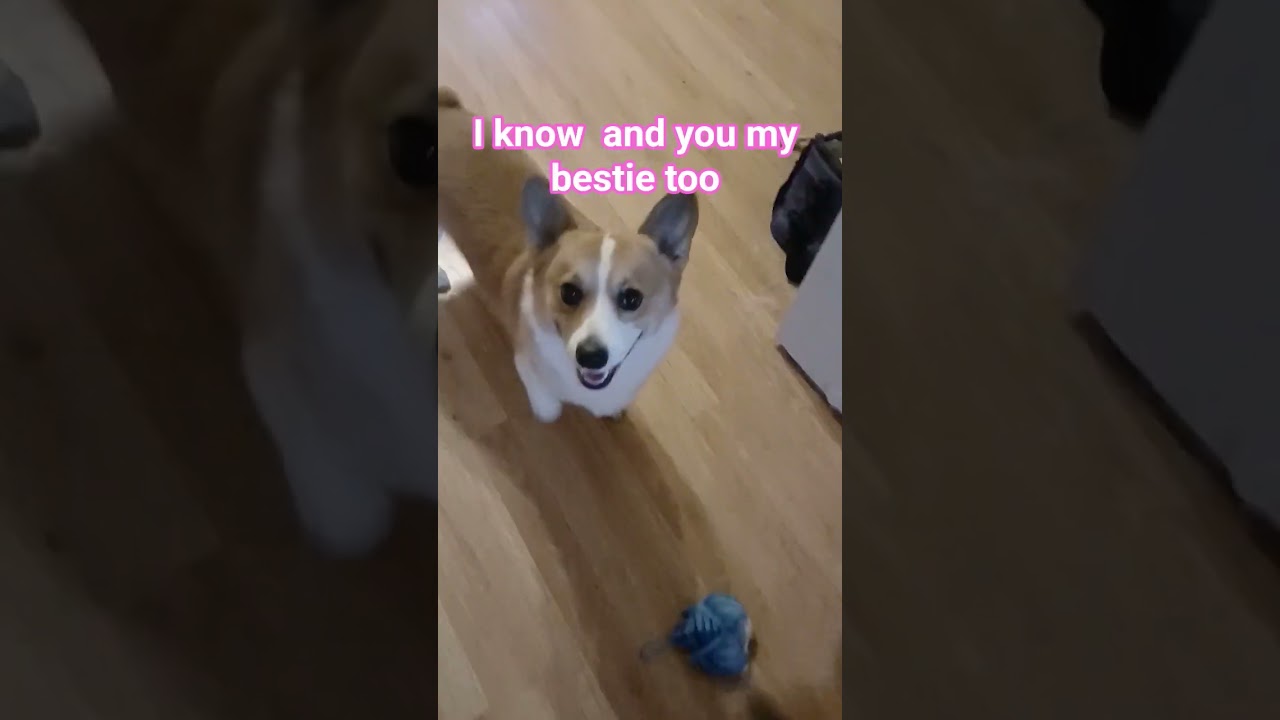 I Need to understand WHAAT??. OMG, ok!  