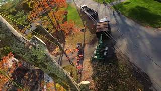 Dangerous Tree Cutting Over Power Lines