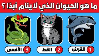 General Knowledge Questions | Test your cultural knowledge in a question and answer format | Ridd... screenshot 4