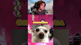 Doggie flashed his chat🥀