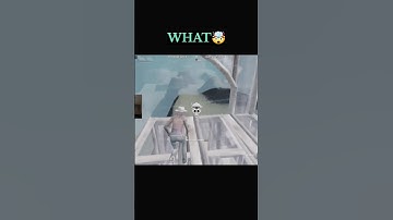 ZENN FALL DAMAGE GLITCH 🤯