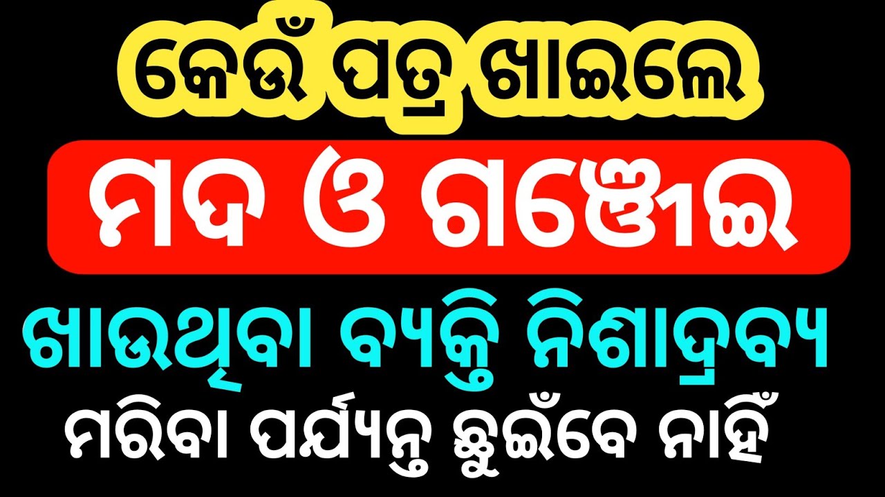 Odia Gk 2026ll general knowledge ll shadharana gyan ll odia Gk ll important GK llquezll odia quezll 