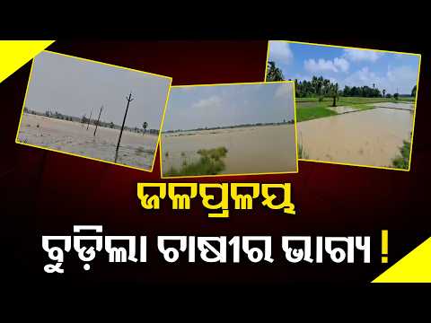 Kadua River Swells After Heavy Rainfall, Farmers Fear Major Crop Losses in Puri | Knews Odisha