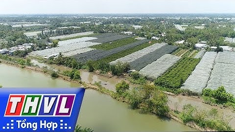 THVL l Ký sự truyền hình: Về Cù Lao Tân Lộc