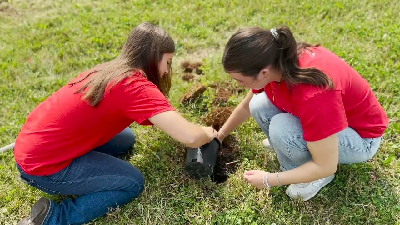 WE PLANTED OVER 20,000 TREES - Jenkins and Wynne 