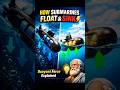 How Submarines Float & Sink 🚢⚡ | Science Explained#submarine #science #physics