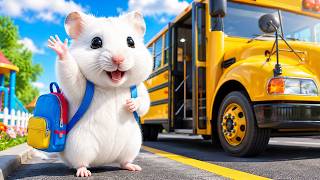 Hamster Escapes from Pop It Prison Maze on the Bus | Hamster Maze