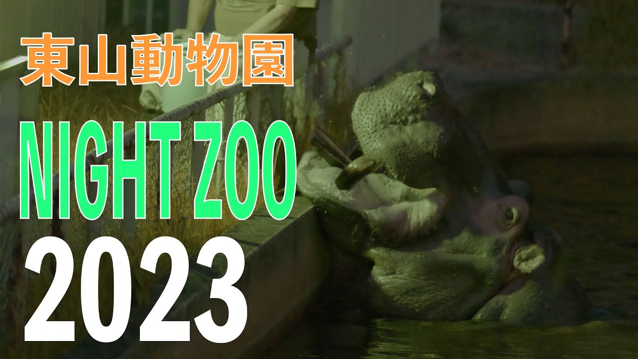 [高感度撮影]東山動物園 ナイトズー 2023版 SONY a7Siii使用 - YouTube