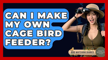 Can I Make My Own Cage Bird Feeder? - Bird Watching Diaries