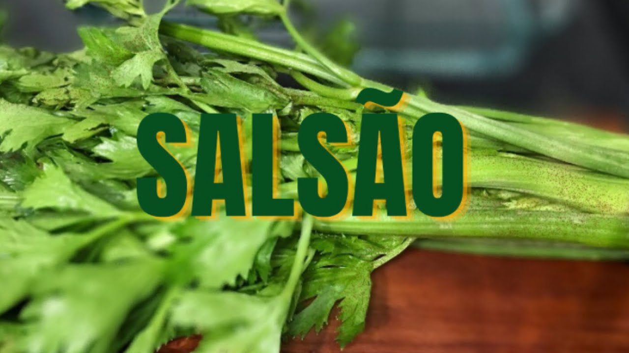 Salsão/Aipo como usar | Fiz duas receitas de um canal do YouTube que eu amo de paixão #comofazer