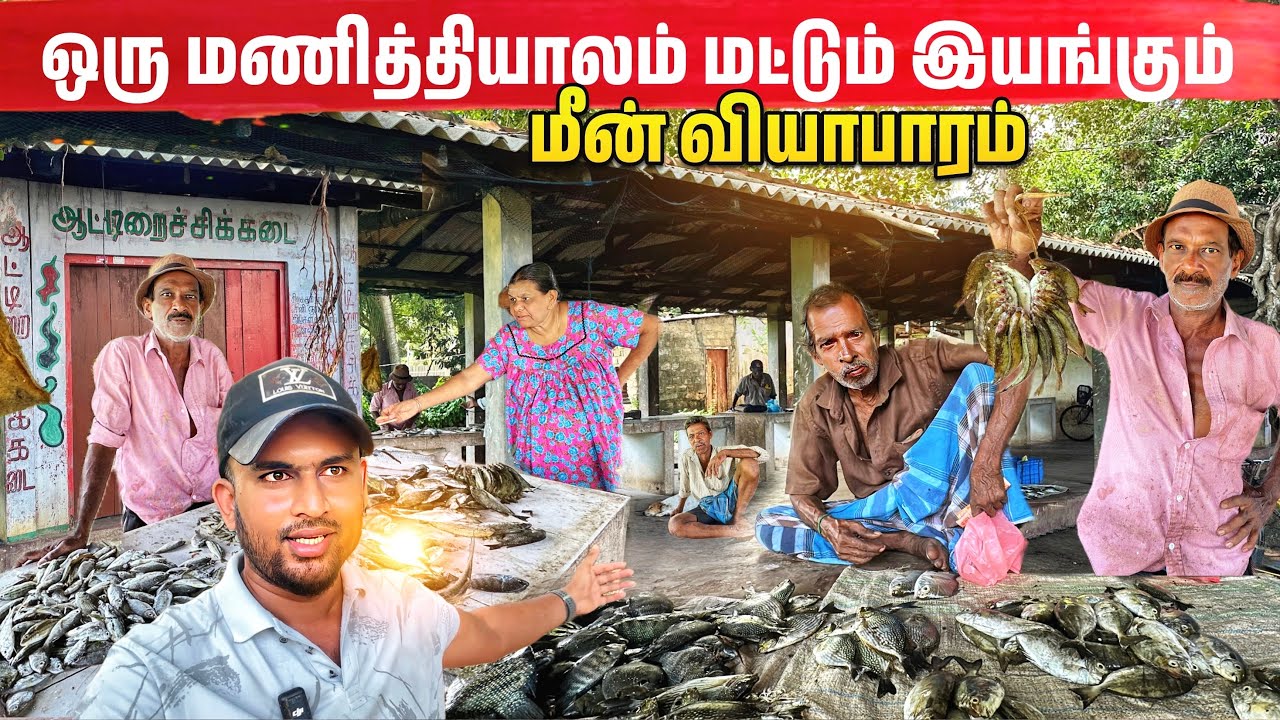 100வருடம் பழமை வாய்ந்த யாழ்ப்பாணம் முதியோர் மீன் சந்தை | Old Fish Market at Jaffna 