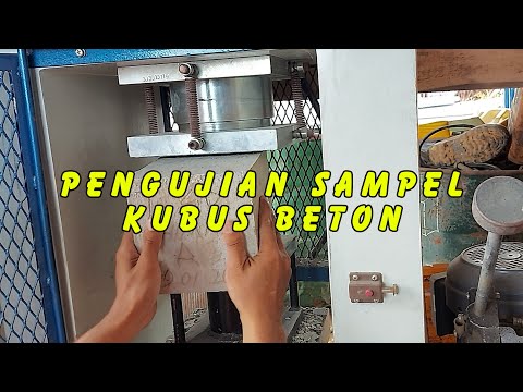 Video: Masyarakat konsumen - apa itu? Fitur dan aktivitas