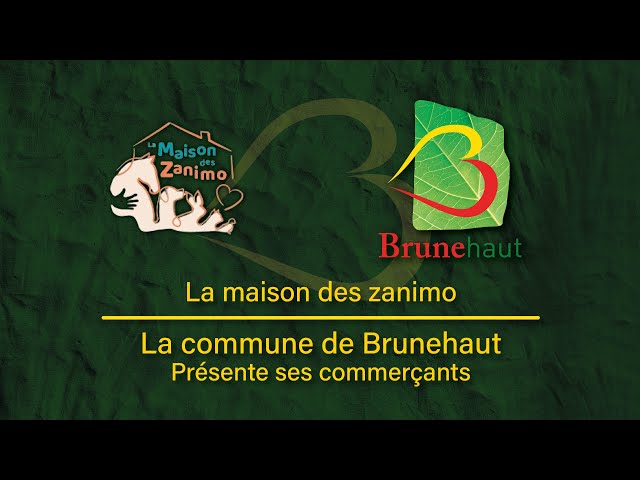 Présentation de la Maison des Zanimo - Commerces et services de Brunehaut