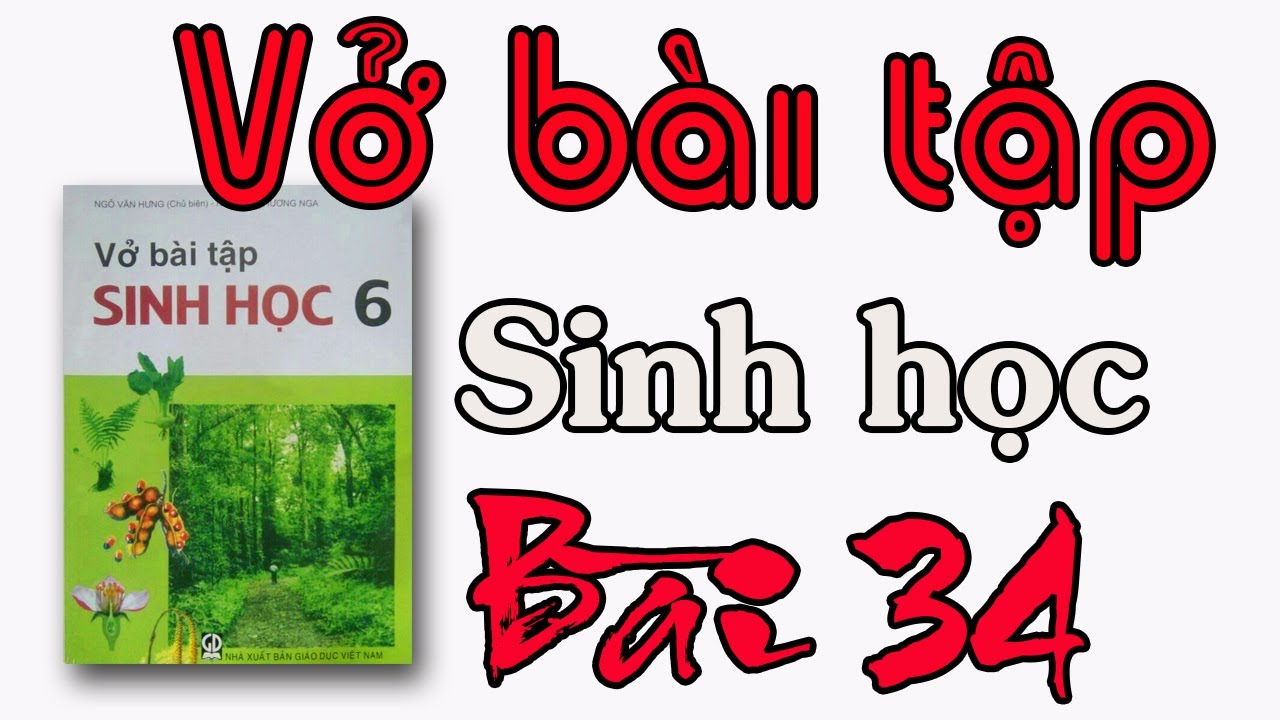 Giải vbt sinh học 6 | VỞ BÀI TẬP SINH HỌC LỚP 6 BÀI 34 PHÁT TÁN QUẢ VÀ HẠT