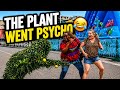 Bushman prank: there is something different of this bushman 😅 !!!