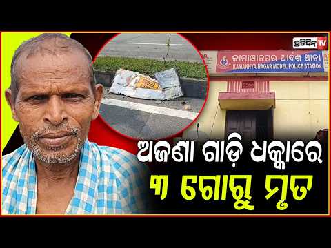 କାମାକ୍ଷାନଗର ଥାନା ସିଆରିମାଳିଆରେ ଅଜଣା ଗାଡି ଧକ୍କାରେ ୩ ଗୋରୁ ମୃତ ! accident in dhenkanal